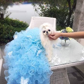 Amazon | ペットのウェディングドレス、犬の花嫁衣装